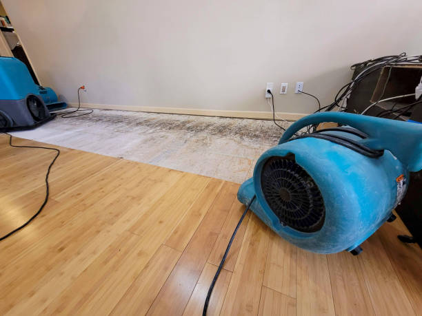 Professional Basement Flood Cleanup technician working in Ava, MO